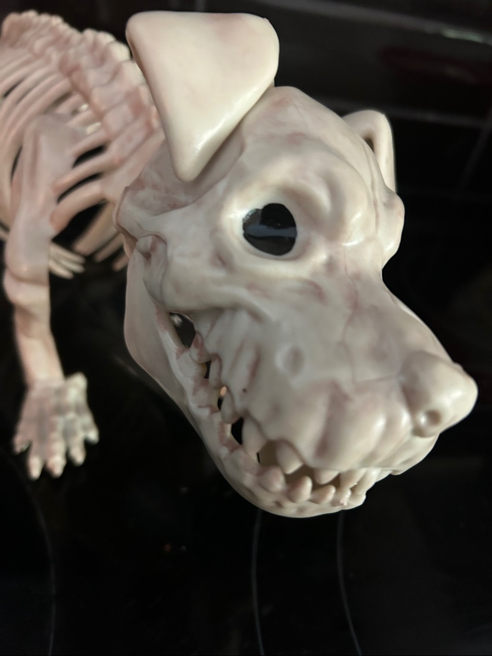 NWT Skeleton Bones Halloween Decor Home Accent by Celebrate Together